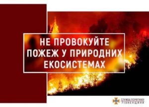 Рятувальники Рівненщини закликають не провокувати пожежі у природних екосистемах