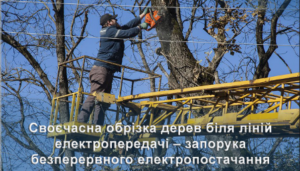 Вчасно зрізане гілля – запорука надійного електропостачання
