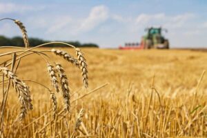 Уряд розширив напрями підтримки сільгоспвиробників