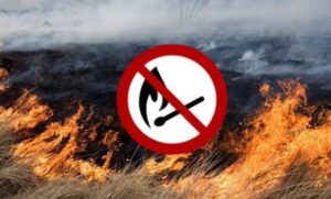 Не паліть листя та сміття – це шкодить людині та довкіллю!