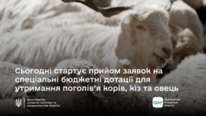 Увага! Стартує прийом заявок на спеціальні бюджетні дотації для утримання поголів’я корів, кіз та овець