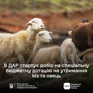 alt="ПОІДОМЛЕННЯ ПРО ПОЧАТОК В ДАР ДОБОРУ НА БЮДЖЕТНУ ДОТАЦІЮ"