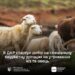 alt="ПОІДОМЛЕННЯ ПРО ПОЧАТОК В ДАР ДОБОРУ НА БЮДЖЕТНУ ДОТАЦІЮ"