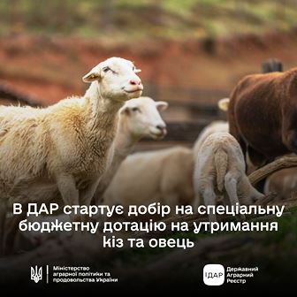 alt="ПОІДОМЛЕННЯ ПРО ПОЧАТОК В ДАР ДОБОРУ НА БЮДЖЕТНУ ДОТАЦІЮ"
