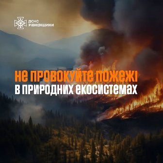 а фото: зображення масштабної лісової пожежі з густим димом. На передньому плані текст: «Не провокуйте пожежі в природних екосистемах». У верхньому лівому куті — логотип ДСНС Рівненщини.