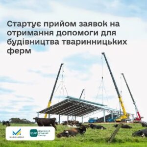 На фото зображено процес будівництва тваринницької ферми. За допомогою кількох підйомних кранів встановлюється металева конструкція даху. На передньому плані пасуться корови на зеленому пасовищі. У верхній частині зображення розміщено текст: «Стартує прийом заявок на отримання допомоги для будівництва тваринницьких ферм»