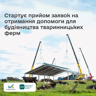 На фото зображено процес будівництва тваринницької ферми. За допомогою кількох підйомних кранів встановлюється металева конструкція даху. На передньому плані пасуться корови на зеленому пасовищі. У верхній частині зображення розміщено текст: «Стартує прийом заявок на отримання допомоги для будівництва тваринницьких ферм»