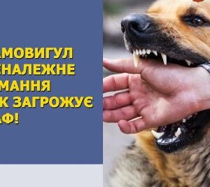 На зображенні службового стилю показано крупним планом момент, коли собака з оголеними зубами кусає людину за руку. Праворуч видно саму сцену укусу, ліворуч розміщений текст попереджувального характеру про штраф за самовигул та неналежне утримання собак