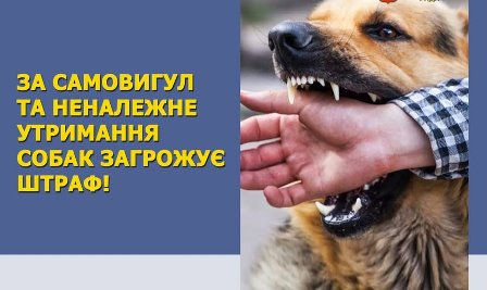 На зображенні службового стилю показано крупним планом момент, коли собака з оголеними зубами кусає людину за руку. Праворуч видно саму сцену укусу, ліворуч розміщений текст попереджувального характеру про штраф за самовигул та неналежне утримання собак