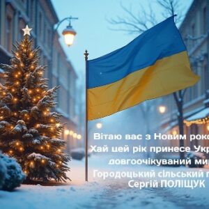 Зимова вулиця міста з прикрашеною різдвяною ялинкою, поруч майорить прапор України. На зображенні розміщено святковий напис: «Вітаю вас з Новим роком! Хай цей рік принесе Україні довгоочікуваний мир. Городоцький сільський голова Сергій Поліщук».