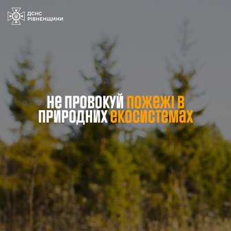 Банер ДСНС Рівненщини із закликом не провокувати пожежі в природних екосистемах на фоні лісу.