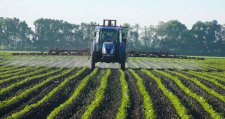 Трактор обприскує зелені рядки посівів на полі, на тлі дерев.