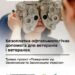 Інформаційний банер про безоплатну офтальмологічну допомогу для ветеранів і ветеранок.