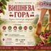 Афіша фестивалю «Вишнева гора», який відбудеться 12 липня 2026 року в селі Городок