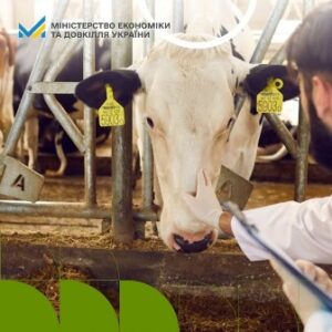 Нові правила реєстрації ветеринарних лікарських засобів наближають українське законодавство до права ЄС